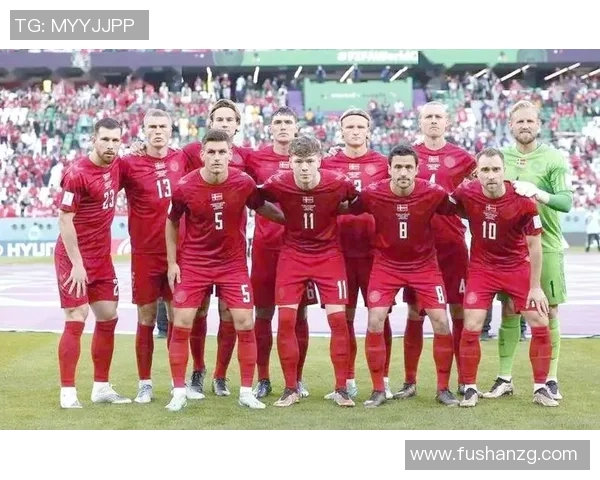 德国与丹麦激战在即球迷期待精彩对决与历史交锋